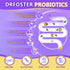 Probiotics for Women & Men Digestive Health?120 Billion CFUs, Prebiotics and Probiotics for Gut Health, D3, Zinc & Immune Support Herbs, Detox Cle...