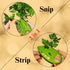 Herb Scissors, Stainless Steel Multipurpose 5 Blade Kitchen Herb Shears, Herb Cutter with Safety Cover and Cleaning Comb for Chopping Basil Chive ...