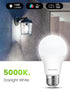 Dusk to Dawn Light Bulbs, 100W Equivalent Outdoor Light Bulbs, 5000K Daylight White, A19 E26 Light Sensor LED Bulb Automatic On Off Photocell for ...