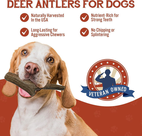 Heartland Deer Antlers for Dogs - Grade A, Naturally Shed Antlers | Dog Bones for Aggressive Chewers & Teething Puppies | Chew Toy for all Breeds ...
