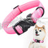 Lionet Paws Waterproof Dog Collar,Gradient Reflective Pink Collar for Small Medium Dog,Safety Buckle Dog Collar for Dog Girl Boy Gift,XS, Neck 8-1...