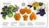 JEM Pansy & Violet Fondant Cutters, for Cake Decorating, Set of 4...
