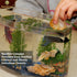 JOR 60 Pcs Mini Water Conditioner Leaves for Freshwater Betta & Shrimp Aquarium, Leaf Lowers Tank's pH, Helps in Successful Breeding...