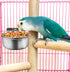 MotBach 3 Pieces Stainless Steel Bird Feeding Dish Cups, Bird Feeder Parrot Food Water Bowls with Clamp, Pet Cage Cups Holder for Bird Parrot Cock...