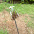 New Weeding Artifact Uprooting Weeding Tool, 16 Inch Premium Steel Weed Puller 4 Teeth Dual Purpose Hand Weeder Tool, Weeding Pulling Tool for Gar...
