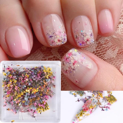 3D Dried Flower for Nails, Flower Nail Art Stickers 1Box Mixed Dried Flowers for Nail Art Resin DIY Crafts Natural Real Dry Flower Decals for Spri...