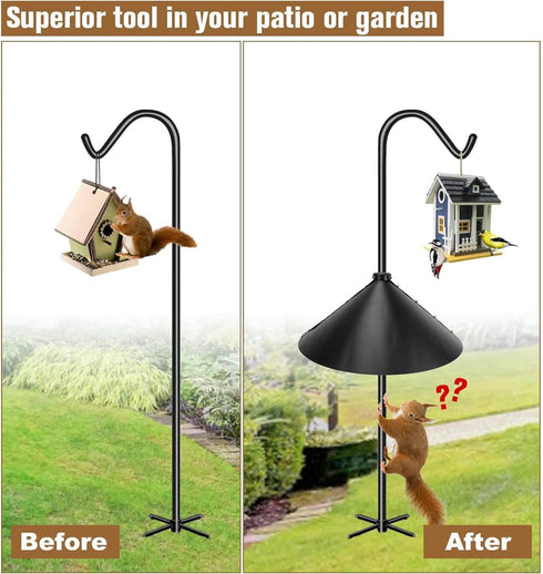 Professional Feeder for Squirrels, Powder Coated...