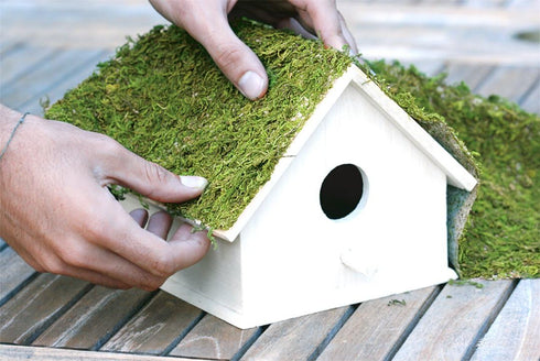 SuperMoss (22420) InstantGreen Moss Mat, Fresh Green, 18 x 16""...