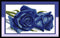 Amiiba Stamped Cross Stitch Kits, Blue Rose Flowers DIY 11CT 17.3x10.6 inch (Blue)...