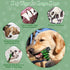 Dog Toys for Aggressive Chewers: Dog Toys for Large Dogs - Tough Dog Toys - Large Dog Toys - Indestructible Dog Toys for Large/Medium/Super Chewer...