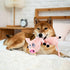 Squeaky Dog Toys for Dogs,Plush Dog Toy,Dog Tug of War Toy,Interactive Dog Toy for Small/Medium/Large Breed?pig?...