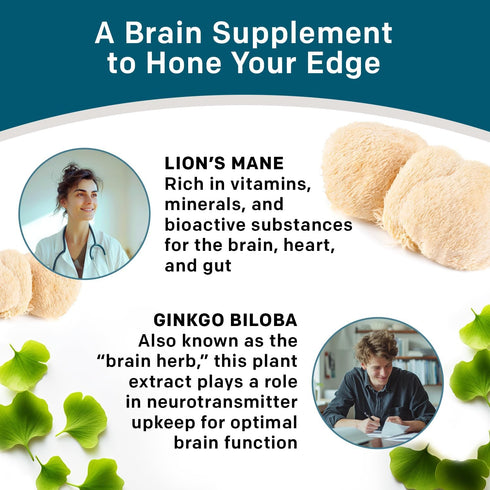 14-in-1 Lions Mane Supplement Capsules - Nootropic Brain Supplement with Ginkgo Biloba for Brain Support, Memory and Focus - Alpha GPC, L Theanine...