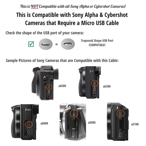 ienza Replacement USB Cable Cord for Sony Alpha a6000 a6300 a6500 a5100 a5000 and Cybershot DSCHX400V (See Other Compatible Models Below)...