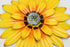 LINZHEN Metal Flower Wall Decor Metal Wall Art Decorations Hanging For Indoor Outdoor Home Bathroom Patio Fence Garden Bedroom Living Room Or Wall...