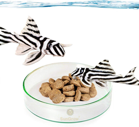 SunGrow Glass Bottom Feeder, Hermit Crab & Gecko Feeder Dish, Borosilicate Glass, Circular Dish for Catfish, Cory, Pleco and Bottom Dwellers, 1 pc...