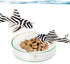 SunGrow Glass Bottom Feeder, Hermit Crab & Gecko Feeder Dish, Borosilicate Glass, Circular Dish for Catfish, Cory, Pleco and Bottom Dwellers, 1 pc...
