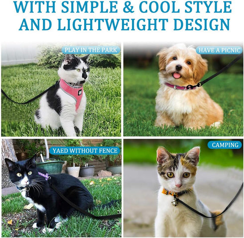 2 Pack Puppy Dog Leash Cat Leash, Strong and Durable Leash with Easy to Use Collar Hook - Dog Leashes for Cat with Collapsible Pet Bowl Great for ...