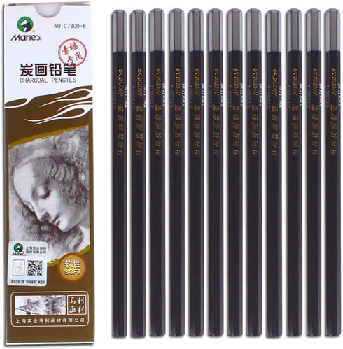 Carbon Painting Pencil Charcoal Drawing Sketch Pencils 12 Piece Soft...