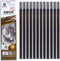 Carbon Painting Pencil Charcoal Drawing Sketch Pencils 12 Piece Soft...