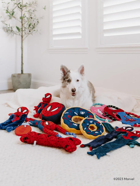 ZippyPaws Marvel Jumbo Donutz - Interactive Donut Pet Toys for Dogs & Puppies, No Stuffing, Durable Squeaky Toy for Small & Medium Breed - Spider-...