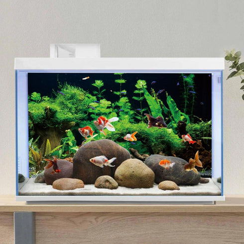 AWERT 36x24 inches River Bed & Lake Fish Tank Background Seagrass Aquarium Background Aquarium Background Vinyl Background...
