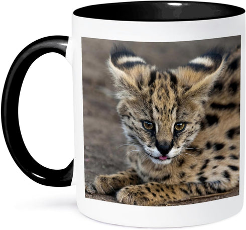 3dRose mug_70989_4 "Serval Cat, Kapama Game Reserve, South Africa-AF42 SPI0103 - Sergio Pitamitz" Two Tone Black Mug, 11 oz, Multicolor...