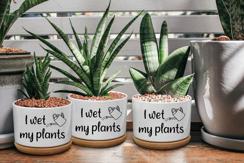 Funny Ceramic Succulent Cactus Planter Pot - I Wet My Plants White Mini Cactus Plant Office Garden Home Decor for Teacher, Mom, Grandma, Plant Lov...