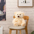Super Color Teddy Bear Stuffed Animals Plush Toy for Children Girlfriend Family Congratulations Baby Shower Birthday Beige 14 inch...
