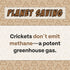 Peanut Butter, Cricket, Pumpkin Gut Health Dog Treats (5oz, 2-Pack) | Limited Ingredients, Hypoallergenic, Natural Prebiotic | Pet Superfood Train...