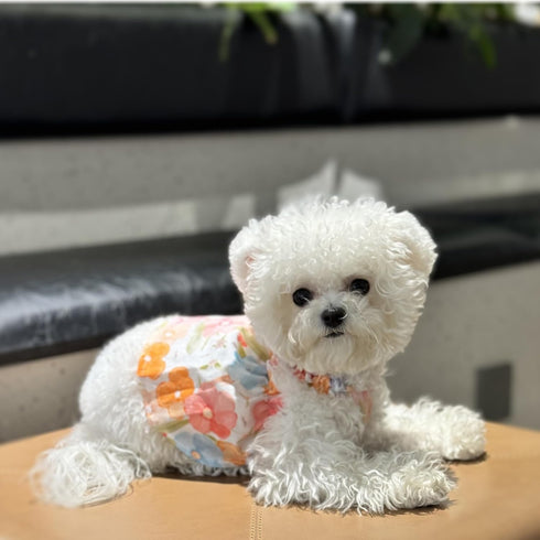 2Pcs Floral Dog Dress for Small Dog Girl Chihuahua Yorkies Princess Dress Summer Skirt for Puppy Kitten, Painting Floral, L...