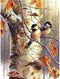 LVIITIS DIY 5D Diamond Painting Arts Sparrow Bird Kits for Adults Full Round Drill, Paintings Embroidery Pictures Craft for Home Wall Decor?5D Pai...