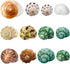 Hermit Crab Shells Medium and Large - 12PCS Growth Turbo Seashells Size 1.4"-3.2" for Small Medium and Large Crabs - Saltwater Hermit Crab Supplie...