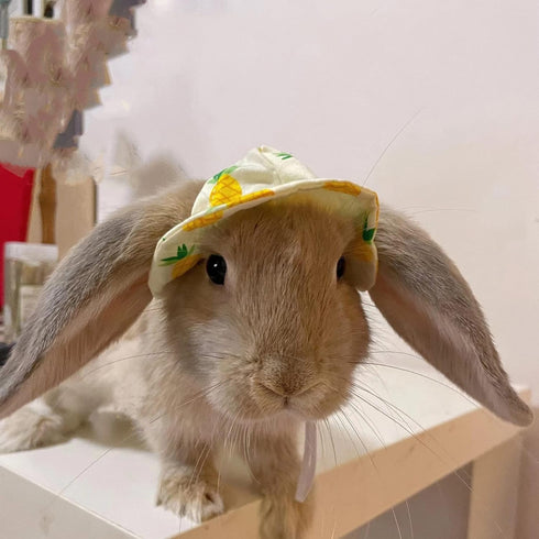 6 Pieces Small Animal Summer Hats & Sunglasses Small Pet Costume Outfit Accessories for Bunny Kitty Guinea Pig Puppy Chinchilla Ferrets...