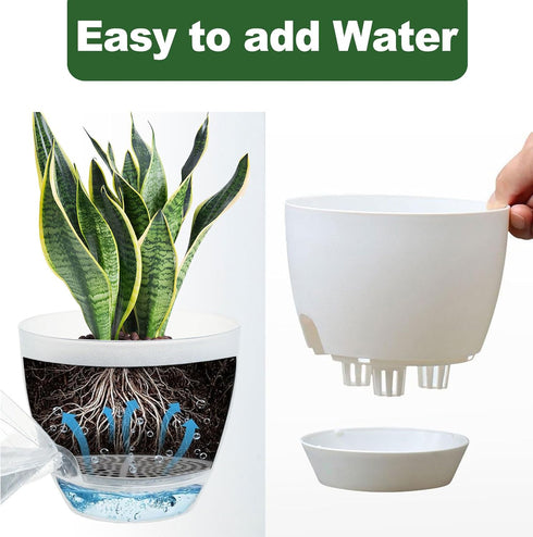 Plant Pots 6 Inch Set of 3, Self Watering Pots Flower Pots Indoor Outdoor, Plastic Planters with Drainage Hole Saucer Reservoir (Clear)...