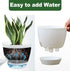 Plant Pots 6 Inch Set of 3, Self Watering Pots Flower Pots Indoor Outdoor, Plastic Planters with Drainage Hole Saucer Reservoir (Clear)...