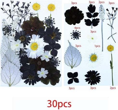 Cayway 2 Pack Dried Pressed Flowers for Resin Molds, Black Real Pressed Flowers Dry Leaves Kit Natural Dried Pressed Leaves for Art Crafts Resin S...