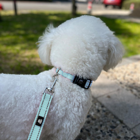 FURRYFECTION Reflective Dog Collar and Leash Set with Quick Release Buckle, Padded with Neoprene Adjustable Nylon Dog Collar for Small Medium and ...