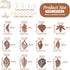 Cheriswelry Wood Leaf Earring Natural Wooden Dangle Earrings Making Kit Coconut Brown Wood Leaf Charms Brass Earring Hooks Jump Rings for Women Gi...