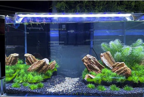 AQUA KT Aquarium Landscape Foreground Grass Seaweed Green Plants for Marine Freshwater Fish Tank Decoration, Pack of 10...