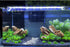 AQUA KT Aquarium Landscape Foreground Grass Seaweed Green Plants for Marine Freshwater Fish Tank Decoration, Pack of 10...
