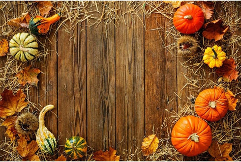 5x3ft Fall Thanksgiving Backdrops for Photography Pumpkins Dry Hay Leaves Rustic Brown Wood Board Festival Decoration Thanksgiving Photography Bac...
