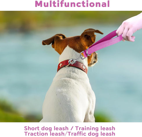Short Dog Leash Dog Handle Leash Traffic Dog Leash Traffic Leash for Dog Short Leash for Dog Training Short Lead Dogs Tab Leash (Pink and Blue)...