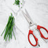 Messermeister 8-Inch Take-Apart Kitchen Scissors, Red - Includes Screwdriver, Nut Cracker, Jar Lid Opener/Gripper, Bottle Opener & Bone + Twig Cut...