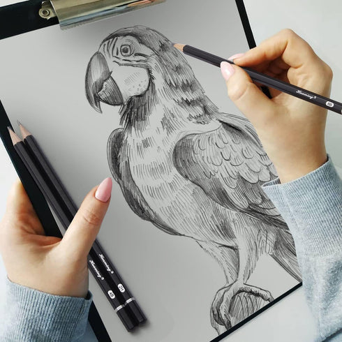 Sketch Pencils for Drawing,12 Pack Drawing Pencils, Graphite Pencils, Graphite Pencils for Drawing, Art Pencils for Drawing and Shading, Shading P...