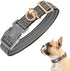 Auroth Dog Collar for Medium Large Dogs, Reflective Dog Collar, Soft Nylon Adjustable Dog Collars with Heavy Duty Metal D Ring Tangle Free (Medium...