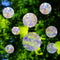 CRMADA 16 Pieces Circle Window Clings - Anti-Collision Window Decals to Save Birds from Window Collisions,Non Adhesive Prismatic Vinyl Window Clin...