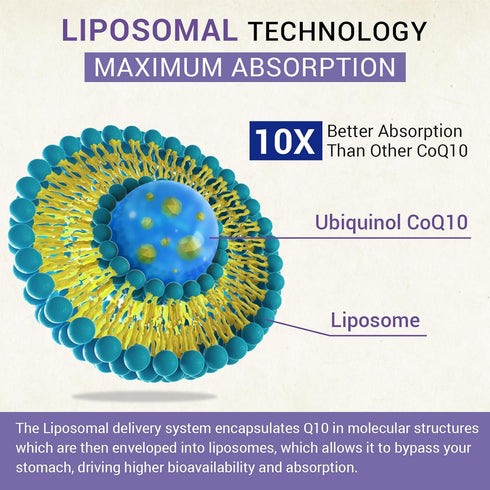 Liposomal Ubiquinol CoQ10 800 MG Softgel, High Absorption CoQ10 Ubiquinol Supplement, Active Coenzyme Q10 800mg, Powerful Antioxidant for Heart & ...