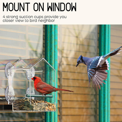 Window Bird Feeder for Outside with Strong Suction Cups, Fits for Cardinals, Finches, Chickadees etc....
