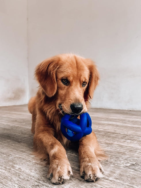 Tuff Pupper SuperChewy Tough Dog Cage Ball Toy Strong Natural Rubber | Great Dog Fetch Toy | Chew Toy for Dogs | Ultra Durable Chew Toy for Aggres...