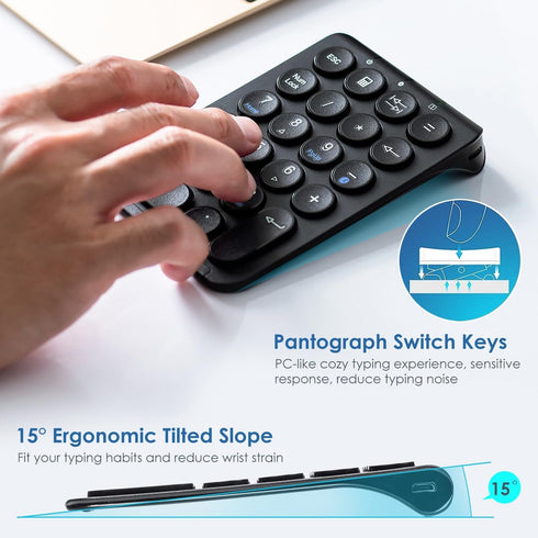 SANWA Bluetooth Numeric Keypad, Rechargeable Wireless Ten Key Number Pad, 22-Key Portable & Slim Financial Accounting Numpad for Laptop Computer, ...